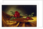 Roses on a Palette, 1880's by Martin Johnson Heade
