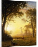 Light in the Forest by Albert Bierstadt