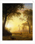 Light in the Forest by Albert Bierstadt