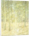 A Woodland Scene by Emil Carlsen