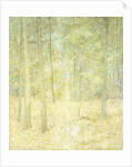 A Woodland Scene by Emil Carlsen
