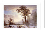 Valley of the Yosemite -Snow Fall, by Albert Bierstadt