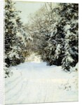 Snow-Laden Trees, 1887 by Walter Launt Palmer
