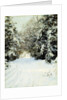 Snow-Laden Trees, 1887 by Walter Launt Palmer