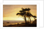 California Coast by Albert Bierstadt