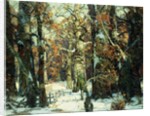 Aisles of the Forest, Berkshires by John Fabian Carlson