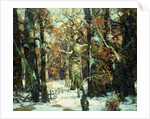 Aisles of the Forest, Berkshires by John Fabian Carlson