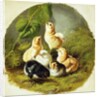 Chicks, 1863 by Arthur Fitzwilliam Tait