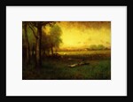 Cows Grazing at Sunset by George Snr. Inness