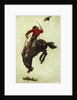 Bucking Bronco, 1903 by Newell Convers Wyeth