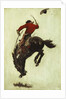 Bucking Bronco, 1903 by Newell Convers Wyeth