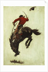 Bucking Bronco, 1903 by Newell Convers Wyeth