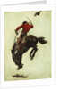 Bucking Bronco, 1903 by Newell Convers Wyeth