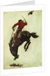 Bucking Bronco, 1903 by Newell Convers Wyeth