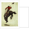 Bucking Bronco, 1903 by Newell Convers Wyeth