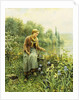 Fishing on a Spring Day by Daniel Ridgway Knight