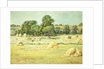 Haying, 1912-1915 by Theodore Wendel