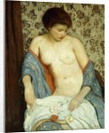 Nude with Blue Kimono by Rae Sloan Bredin