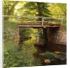 A Forest Stream with a wooden Bridge, 1900 by Marcus Bech Fritz