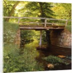 A Forest Stream with a wooden Bridge, 1900 by Marcus Bech Fritz