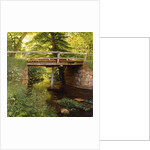 A Forest Stream with a wooden Bridge, 1900 by Marcus Bech Fritz
