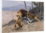 Lion and Lioness; Lowe und Lowin by Wilhelm Kuhnert