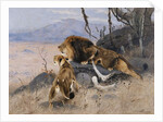 Lion and Lioness; Lowe und Lowin by Wilhelm Kuhnert