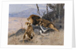 Lion and Lioness; Lowe und Lowin by Wilhelm Kuhnert