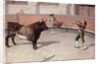 Bullfighting Scene, 19th C. by Spanish School