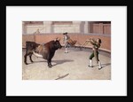 Bullfighting Scene, 19th C. by Spanish School