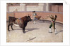 Bullfighting Scene, 19th C. by Spanish School