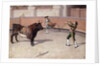 Bullfighting Scene, 19th C. by Spanish School
