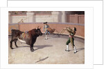Bullfighting Scene, 19th C. by Spanish School