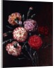 Carnations by Johan Laurents Jensen