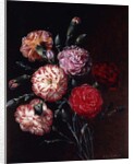 Carnations by Johan Laurents Jensen