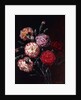 Carnations by Johan Laurents Jensen
