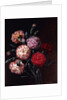 Carnations by Johan Laurents Jensen