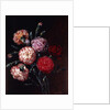 Carnations by Johan Laurents Jensen