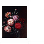 Carnations by Johan Laurents Jensen