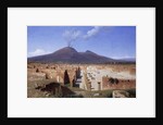 Vesuvius from Pompei, 1883 by Louis Spangenberg