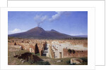 Vesuvius from Pompei, 1883 by Louis Spangenberg