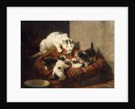 A Feathered Gift by Henriette Ronner-Knip