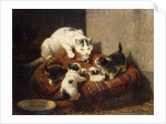 A Feathered Gift by Henriette Ronner-Knip