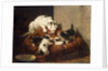A Feathered Gift by Henriette Ronner-Knip