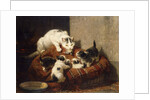 A Feathered Gift by Henriette Ronner-Knip