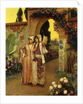 In the Garden of the Harem by Rudolphe Ernst