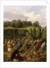 The Hop Pickers, 1855 by John Frederick Herring Snr