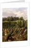 The Hop Pickers, 1855 by John Frederick Herring Snr