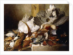 A Still Life of Dead Birds; A Heron Hanging from a Wall, Duck, Pheasant, Partridge, Woodcock, a Swan and a Pigeon with a Hare, 1845 by W. Oakes