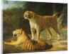 A Tiger and Tigress at the Exeter 'Change Menagerie in 1808, 1808 by Jacques-Laurent Agasse